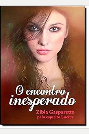 Capa de O ENCONTRO INESPERADO